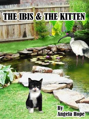 cover image of The Ibis & the Kitten